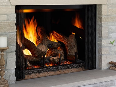 phoenix trueview gas fireplace