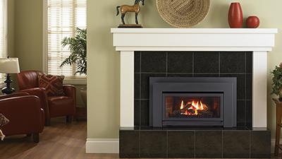 Energy™ E21 Gas Insert